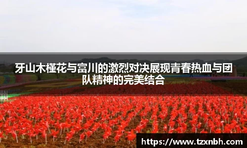 牙山木槿花与富川的激烈对决展现青春热血与团队精神的完美结合